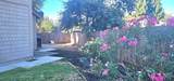 7427 Black Tree Lane - Photo 6
