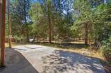 10552 Alta Street - Photo 43