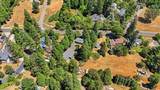 10552 Alta Street - Photo 49