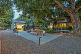 38364 Wisteria Way - Photo 78