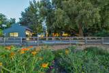 38364 Wisteria Way - Photo 80