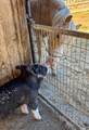 38364 Wisteria Way - Photo 90
