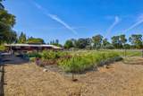38364 Wisteria Way - Photo 92