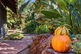 601 Shangri Lane - Photo 10