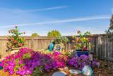 2810 Springfield Drive - Photo 49