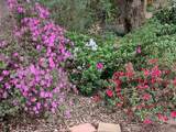 3710 Orchard Lane - Photo 47