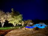 13641 Brass Circle - Photo 47
