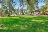 13641 Brass Circle - Photo 58