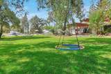 13641 Brass Circle - Photo 59