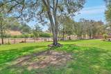 13641 Brass Circle - Photo 60