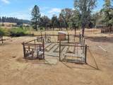 13641 Brass Circle - Photo 70