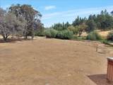 13641 Brass Circle - Photo 71