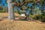 4055 Rancho Montes Drive - Photo 33