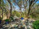 4711 Meadowview Acres Road - Photo 51