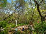 4711 Meadowview Acres Road - Photo 58