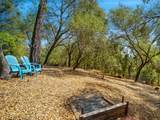 4711 Meadowview Acres Road - Photo 61