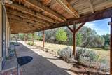 9305 Mosquito Road - Photo 53