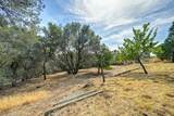 9305 Mosquito Road - Photo 61