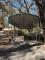 1305 Bishali Lane - Photo 40