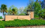 33203 Pintail Street - Photo 42