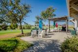 33203 Pintail Street - Photo 43
