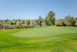 33203 Pintail Street - Photo 44
