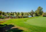 33203 Pintail Street - Photo 45