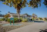 33203 Pintail Street - Photo 46