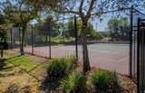 33203 Pintail Street - Photo 47