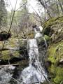 15735 Mountain House Road - Photo 4