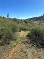1234 Hog Ranch Road - Photo 3
