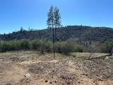 1234 Hog Ranch Road - Photo 4