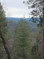 6461 Forest View Drive - Photo 12