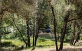 0 Cosumnes View Trail - Photo 6