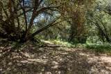 0 Cosumnes View Trail - Photo 9