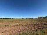 11501 Jahant Road - Photo 6