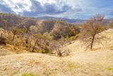 0 Black Oak #106 Lane - Photo 6