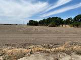 17398 Tracy Boulevard - Photo 14