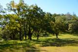 14210 Perimeter Road - Photo 6