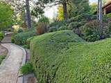 2125 Bear Rock Road - Photo 60