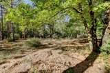 14205 Windwhistle Way - Photo 20