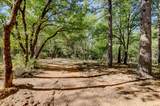 14205 Windwhistle Way - Photo 22