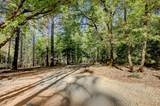14205 Windwhistle Way - Photo 24