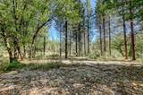 14205 Windwhistle Way - Photo 29