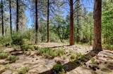 14205 Windwhistle Way - Photo 31