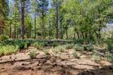 14205 Windwhistle Way - Photo 38