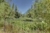14205 Windwhistle Way - Photo 4