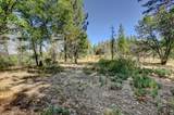 14205 Windwhistle Way - Photo 42