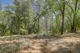 14205 Windwhistle Way - Photo 46