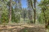 14205 Windwhistle Way - Photo 47